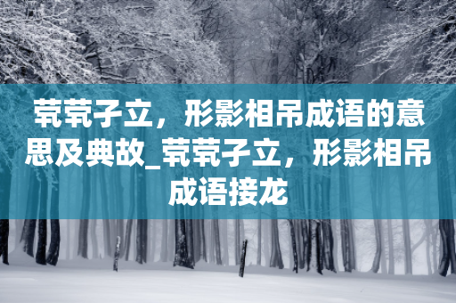 茕茕孑立，形影相吊成语的意思及典故_茕茕孑立，形影相吊成语接龙