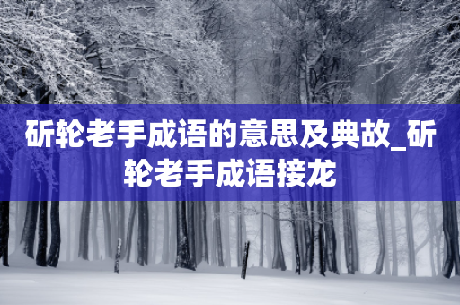 斫轮老手成语的意思及典故_斫轮老手成语接龙