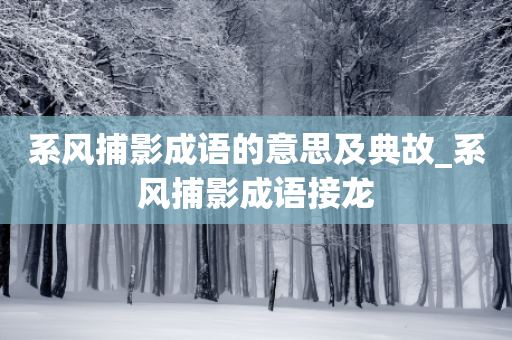 系风捕影成语的意思及典故_系风捕影成语接龙