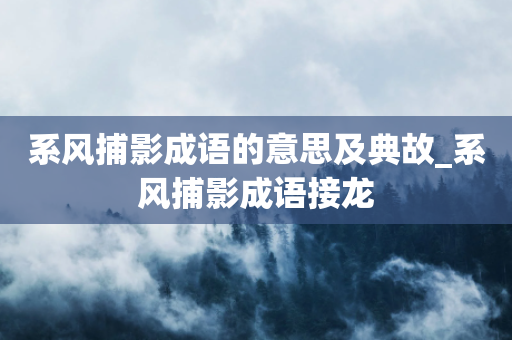 系风捕影成语的意思及典故_系风捕影成语接龙