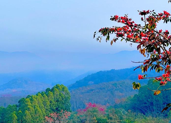 爱在心间贴近每一寸生命（亲情是最美的风景）