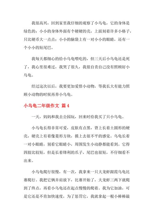 小乌龟的成长之路（从抱回来的小宝贝到成长为勇敢的小卫士）