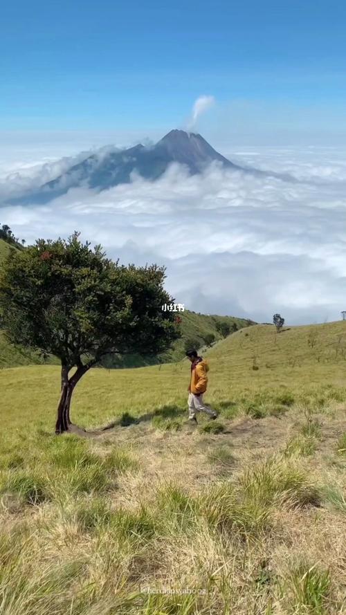 不留遗憾的人生（有一场旅行）