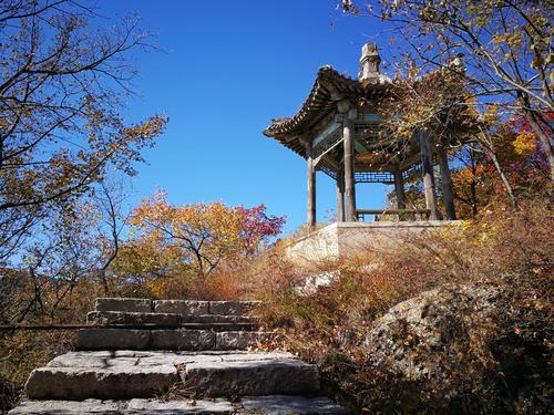 风景独好（一场意外的相遇）