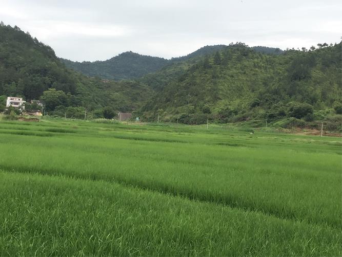 心灵田野（一个人的内心历程）