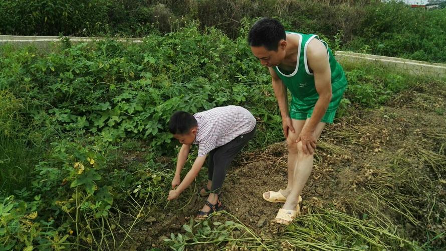 那一场幸福的收获（追寻幸福，让生命绽放）