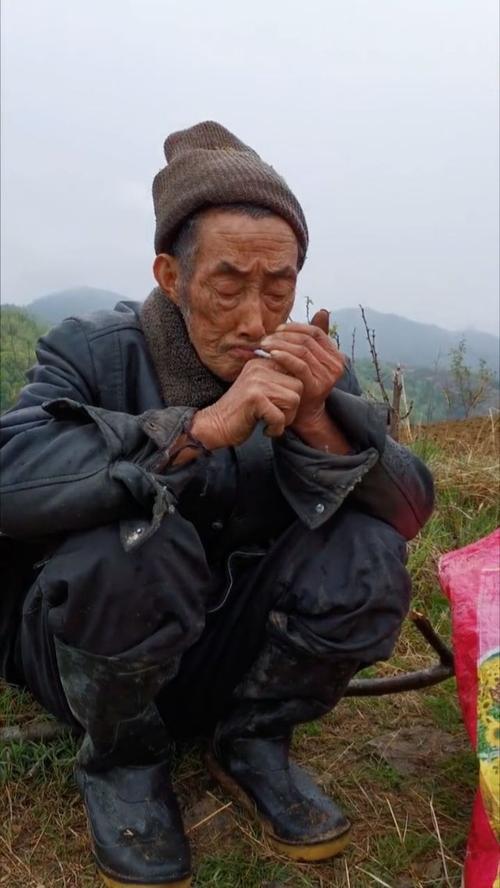 岁月静好，人生有情（岁月静好，人生有情）