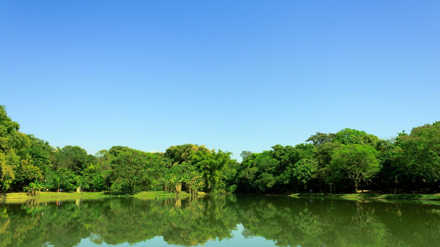 故乡的美丽风景