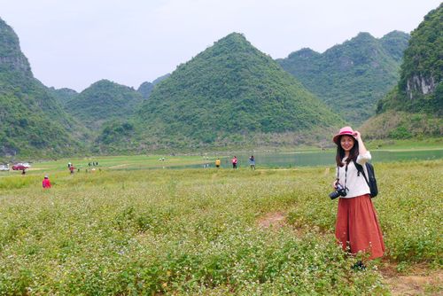 大自然的神奇魅力（走进大自然，感受生命的美好）