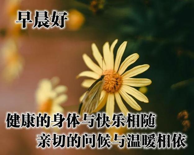 一份真诚的关怀（一份真诚的关怀）