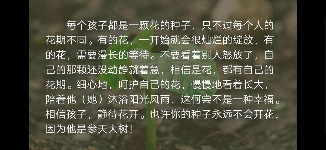 陪伴中成长——小猫的故事（生命中的点滴温暖）