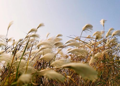 成长的瞬间（以那段日子，我忽然长大）