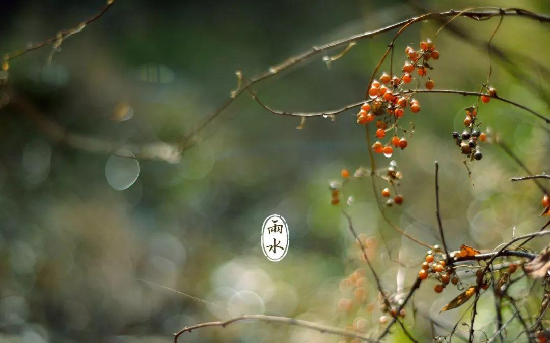 春雨滋润人心（悲喜交加的桥段）