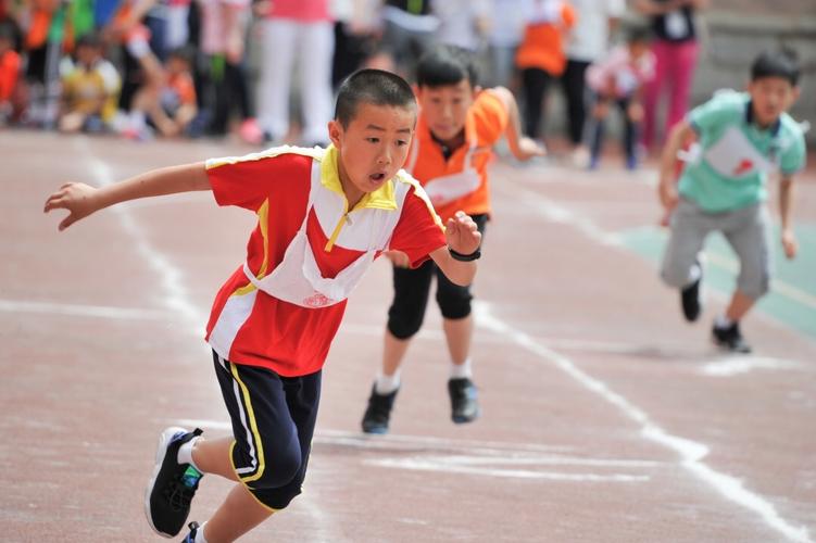 冠军的荣耀（小学生的运动会）