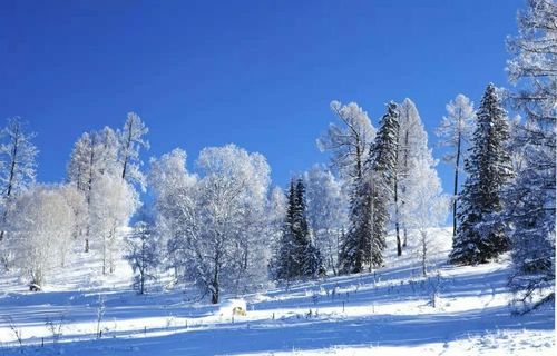 冬日里的浪漫（雪花飘落中的相遇）