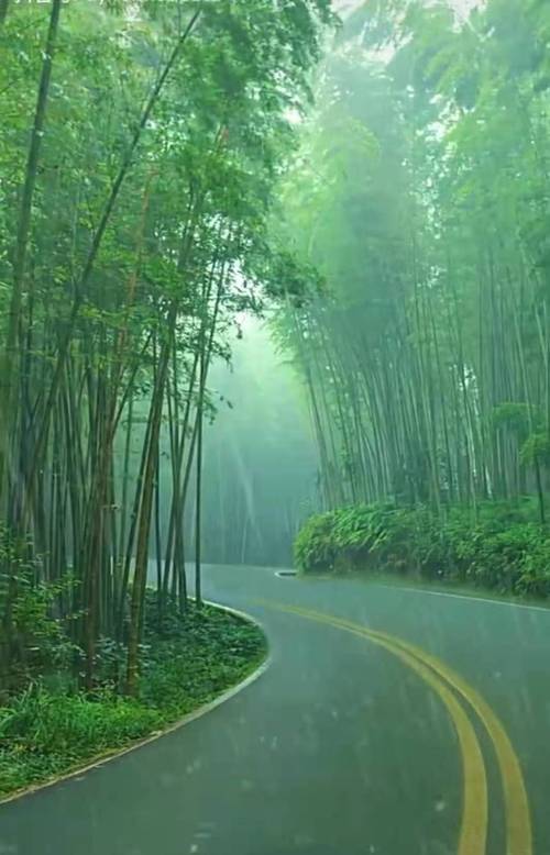 风雨中迎难而上——勇者的传说（风雨过后，阳光灿烂）