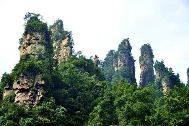 天地之间，自然无限（探索大自然中的奇妙之旅）