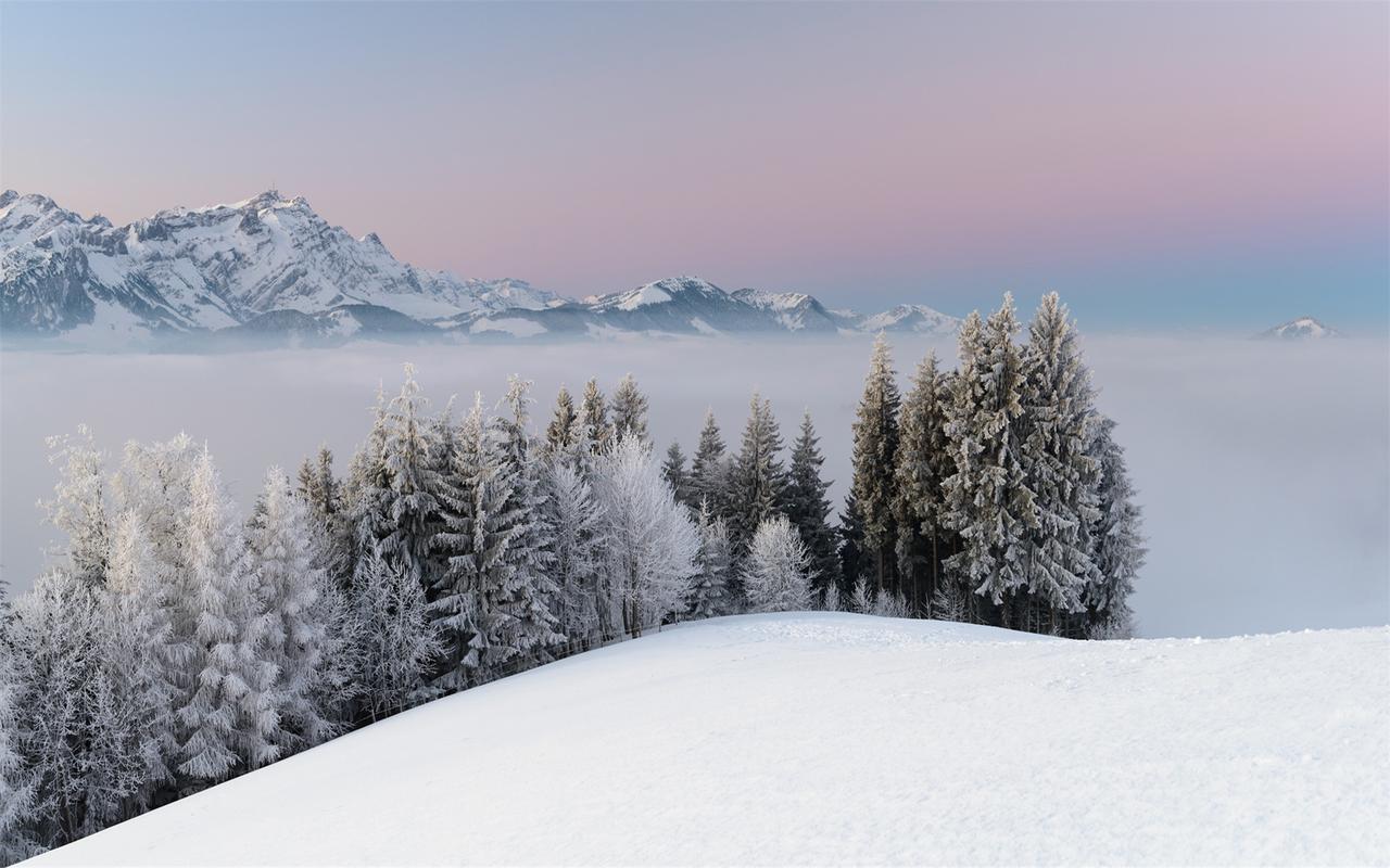 美丽的雪中景色