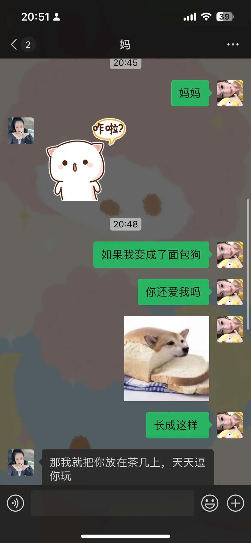 我爱妈妈：一位母亲的爱的故事