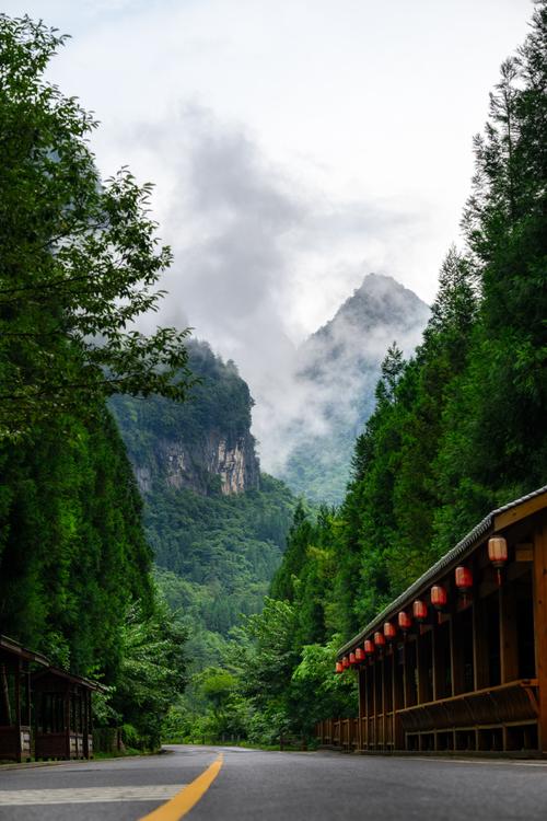 青春之旅：从迷茫到成长