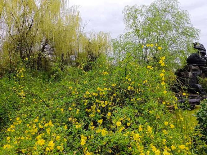 春色满园，花香四溢（春色满园，花香四溢）