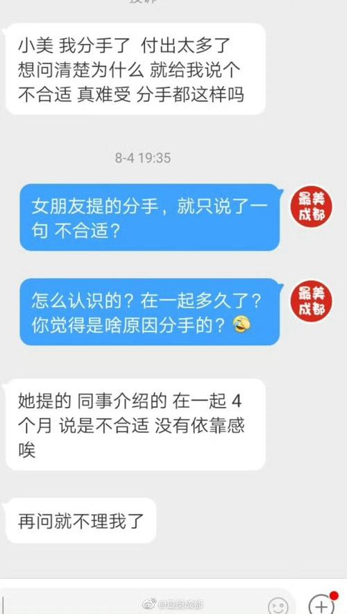 生命中的依靠（一只小猫咪的故事）