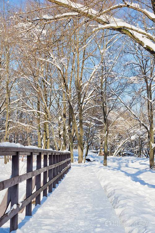 冬日飘雪（白雪纷飞，寻找爱的足迹）