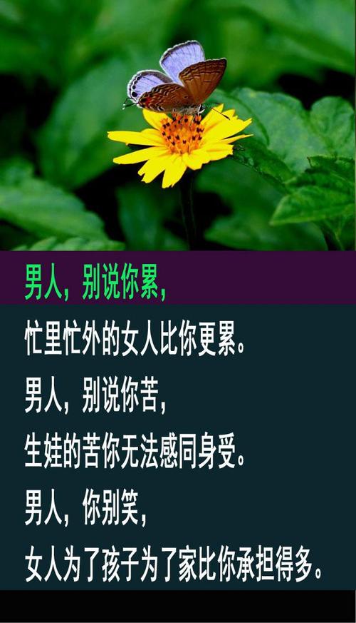 触摸自然的心声（用心感受，体验大自然的魅力）