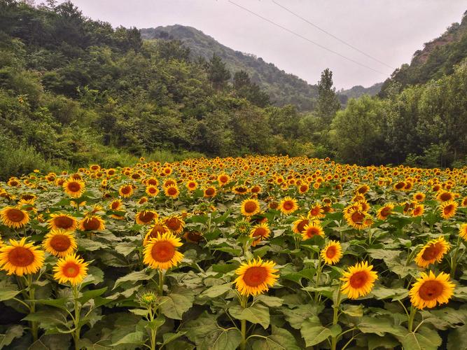 在山水之间，我们相遇相知（在山水之间，我们相遇相知）