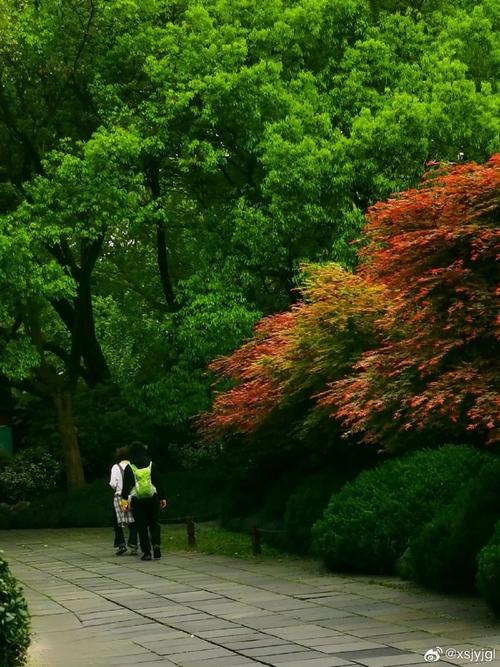 平淡如水的生活(平凡中见真情)