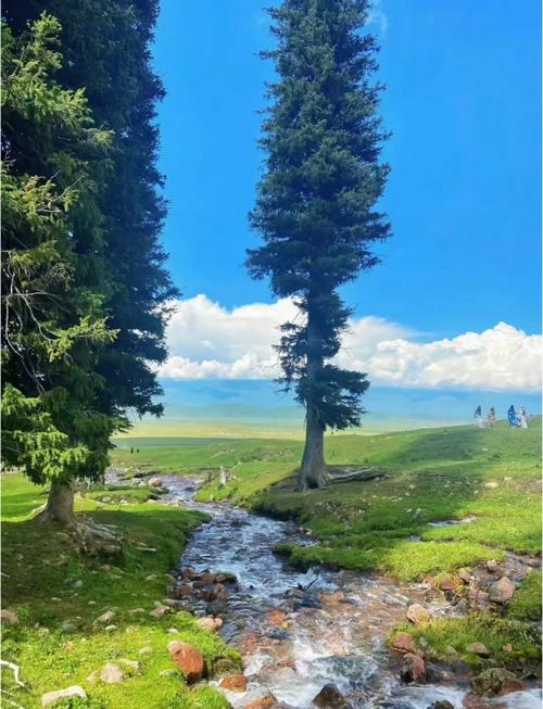 穿越荒野,探索自然剧场(探险队伍在大自然中度过难忘的时光)