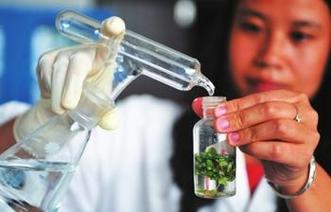 渴望安全的心(那些追寻安全的故事)