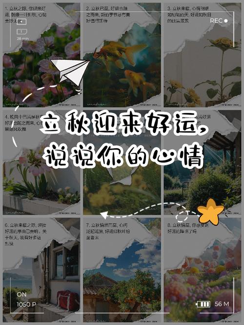 品味立秋时节，领略自然之美（品味立秋时节，领略自然之美）