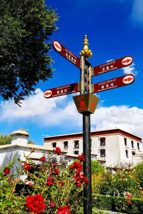 笑着向前，无惧挑战（坚定信念，勇往直前）