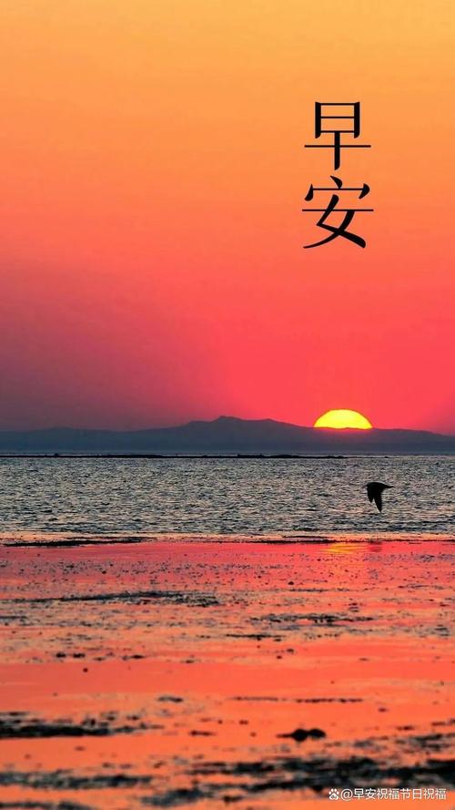 美丽人生：精致唯美的人生感悟