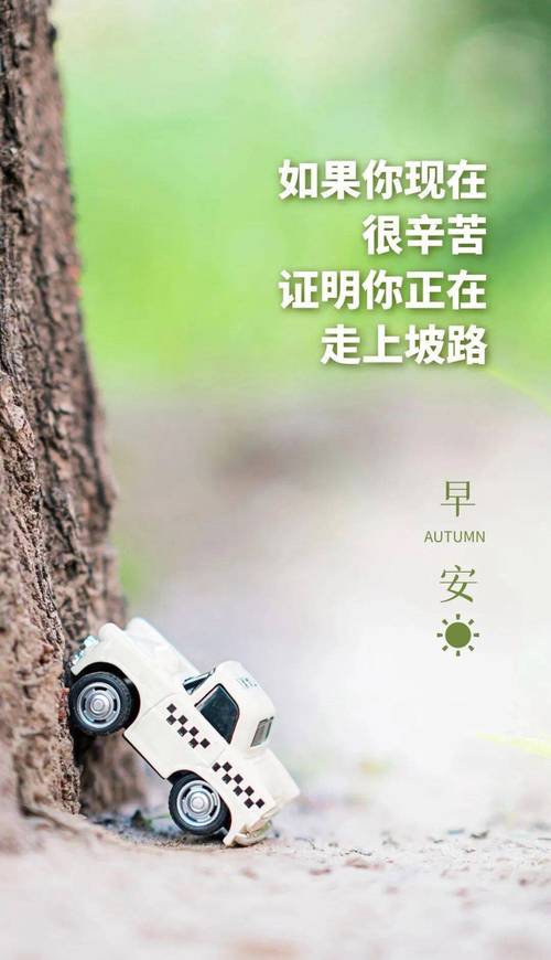 《哲理经典》：用短句唤醒内心的智慧