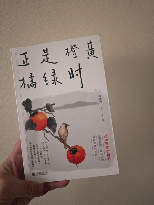 日常生活的美好（一个平凡人的不平凡故事）