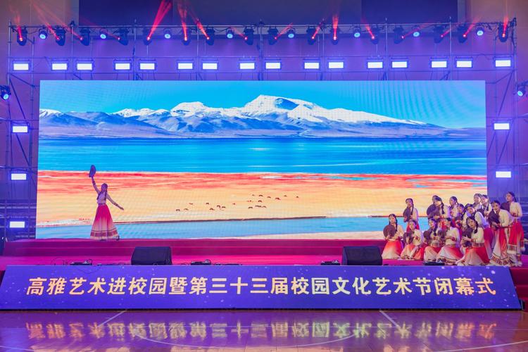 校园文化艺术节之我的表演（展示才华，赢得尊重）