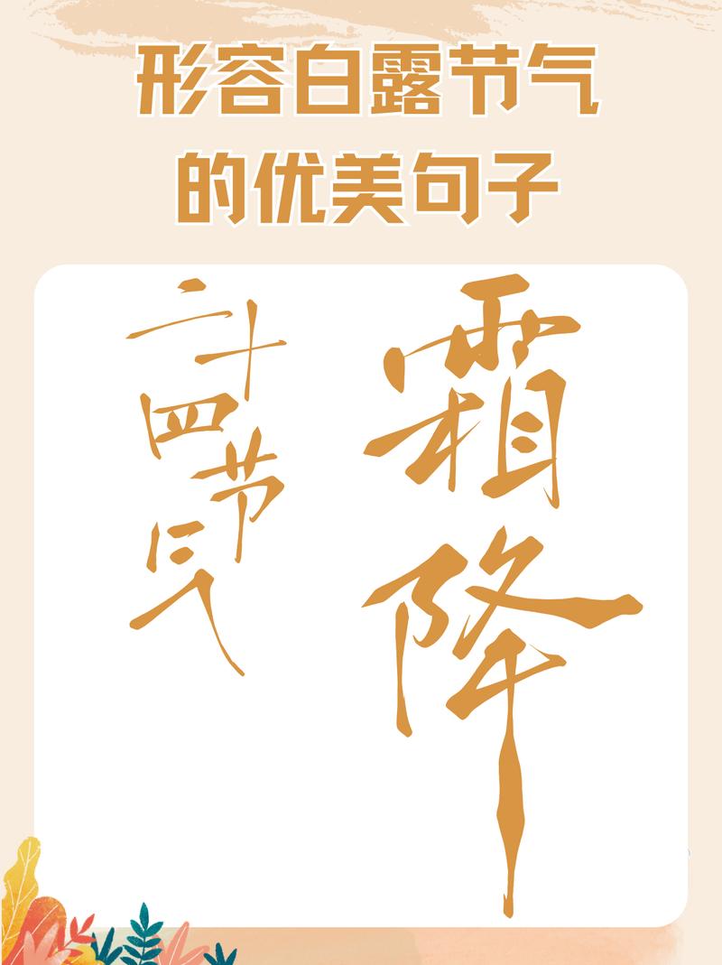 用美丽的语言，感受白露的韵味（用美丽的语言，感受白露的韵味）