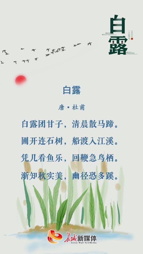 用美丽的语言,感受白露的韵味(用美丽的语言,感受白露的韵味)