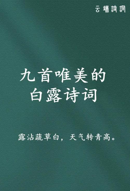 用美丽的语言,感受白露的韵味(用美丽的语言,感受白露的韵味)