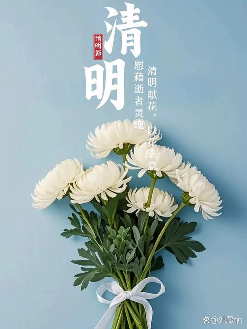 感受生命的美好,寻找内心的宁静(感受生命的美好,寻找内心的宁静)