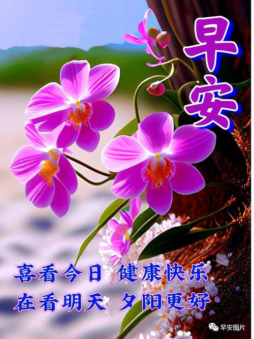 《感恩2023，展望2023》