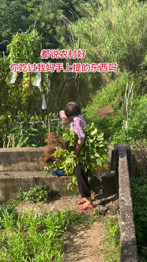 母爱无疆（妈妈的辛勤劳动）