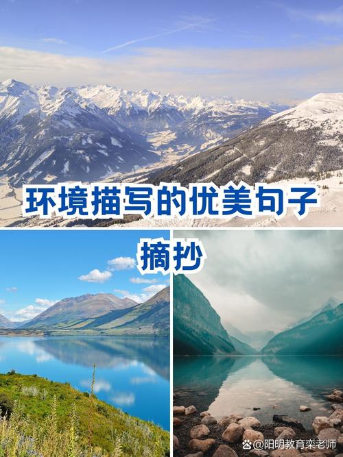 《文学的盛宴》