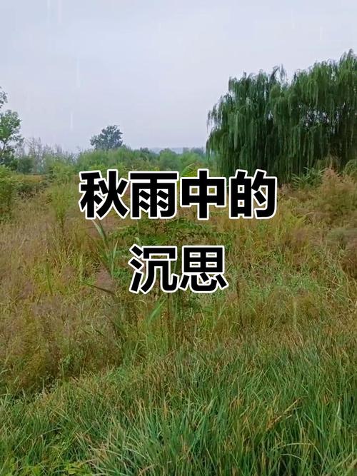 秋雨绵绵——心灵的沐浴