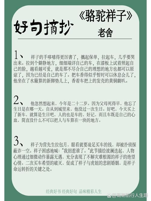 《祥子的人性之美》（《骆驼祥子第七章好词好句摘抄》）